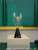 TROFEO IL GELSO_29
