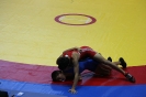 gran premio giovani_53